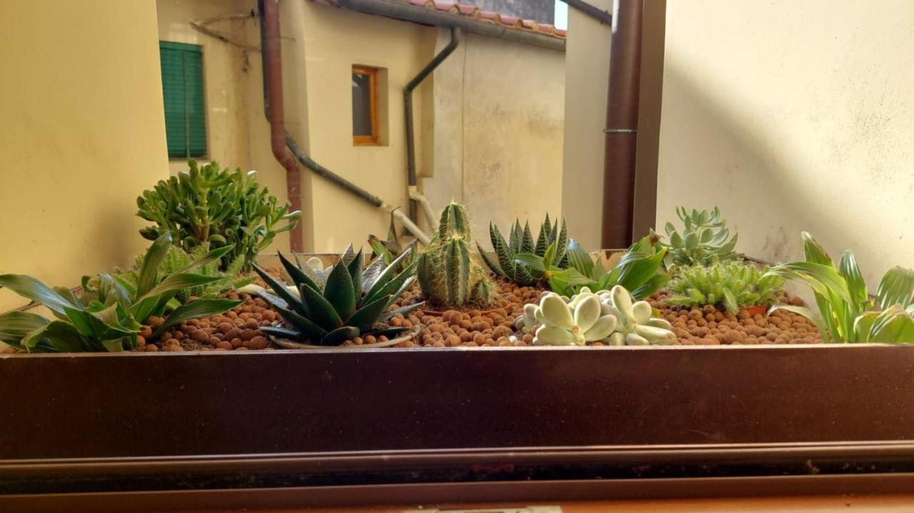 Casa Vacanze I Leoni Empoli Dış mekan fotoğraf